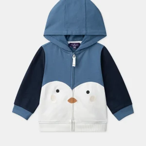 Sweat à capuche tricolore macareux