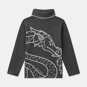 Sous-pull Gris Dragon
