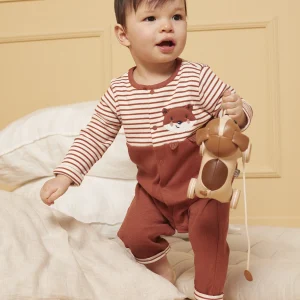 Dors-bien renard à côtes