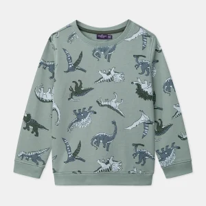Sweat-Shirt Dinosaures
