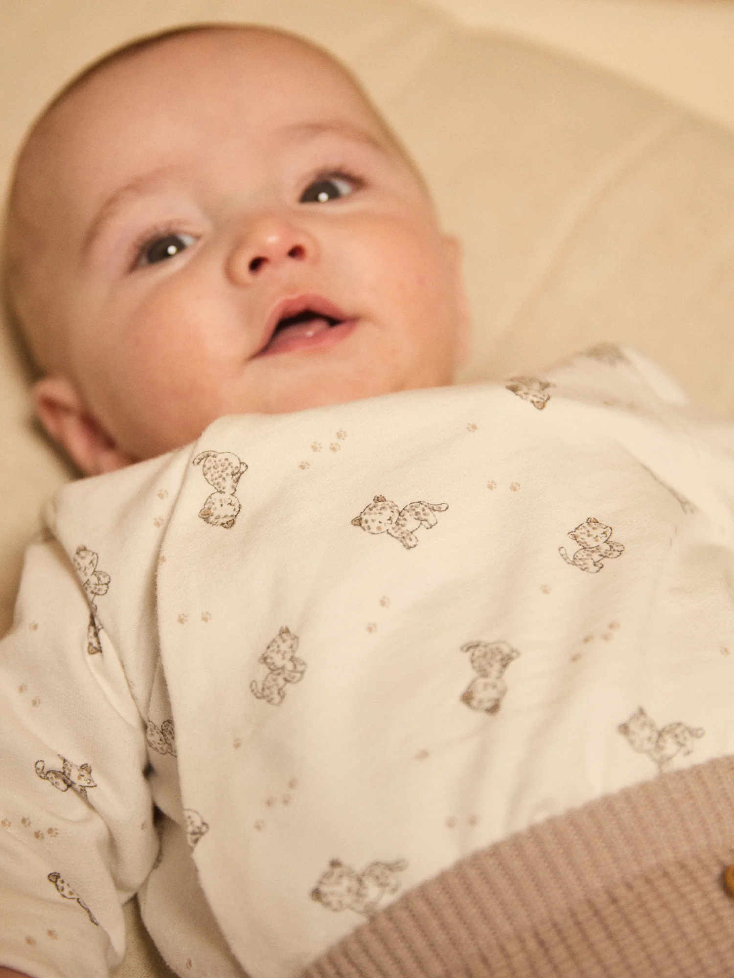 Ensemble brassière imprimé panthère + pantalon + chaussettes Naissance Mixte – Image 4