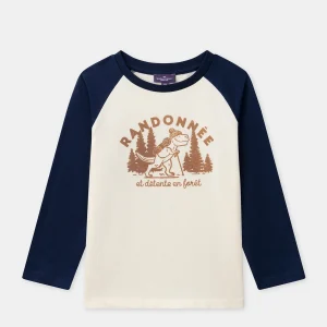 T-shirt bleu et écru imprimé dinosaure à manches longues Garçon