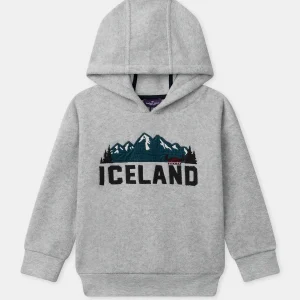 Sweat à capuche gris Garçon