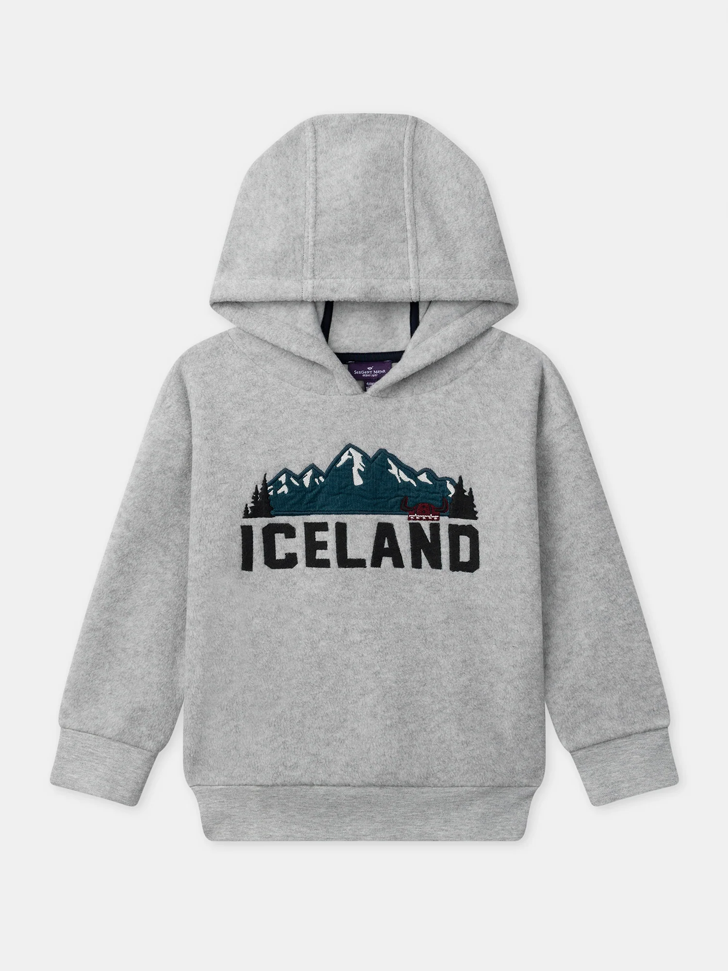 Sweat à capuche gris Garçon