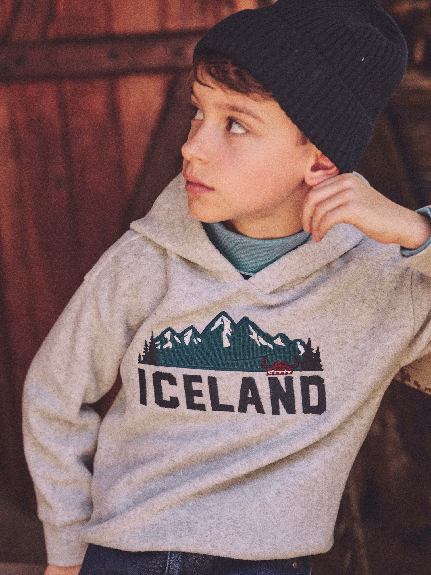 Sweat à capuche gris Garçon – Image 4