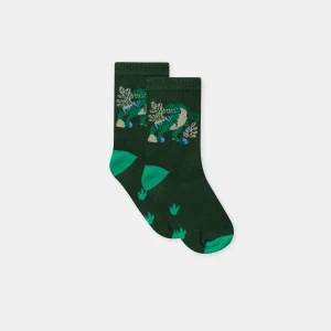 Chaussettes Verte