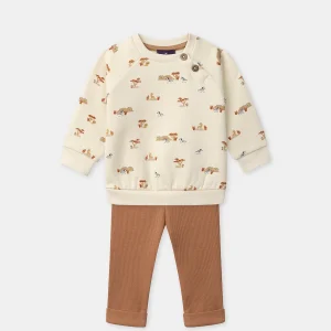 Ensemble sweat beige + legging marron Bébé Garçon