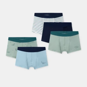 Lot de 5 boxers dinosaures Garçon
