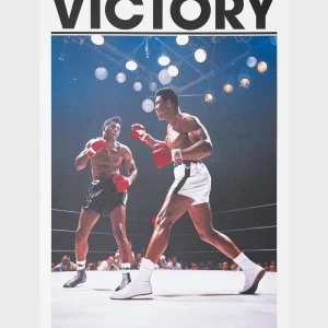 VICTORY JOURNAL - ISSUE 20